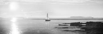 Evening Sail Black and White Crop | Obraz na stenu