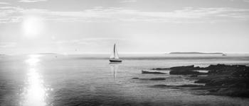 Evening Sail Black and White | Obraz na stenu