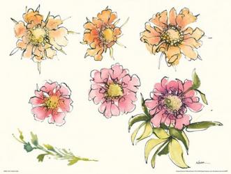 Scabiosa Bits | Obraz na stenu