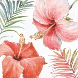 Tropical Blush III | Obraz na stenu