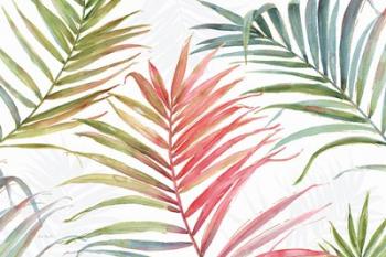 Tropical Blush IV | Obraz na stenu