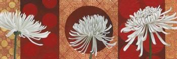 Morning Chrysanthemums V | Obraz na stenu