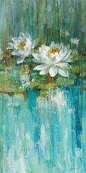 Water Lily Pond II | Obraz na stenu