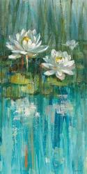 Water Lily Pond III | Obraz na stenu