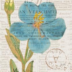 Bookshelf Botanical VI | Obraz na stenu