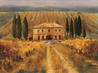 Toscana Vigna Special | Obraz na stenu
