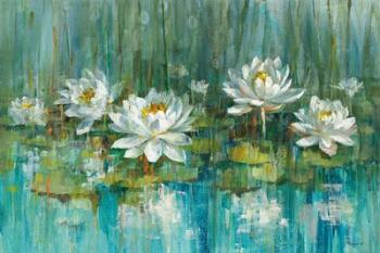 Water Lily Pond | Obraz na stenu