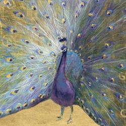 Purple and Gold Peacock | Obraz na stenu