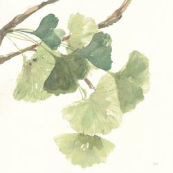 Gingko Leaves I Light | Obraz na stenu