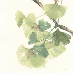 Gingko Leaves II Light | Obraz na stenu