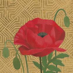 Poppy with Pattern | Obraz na stenu