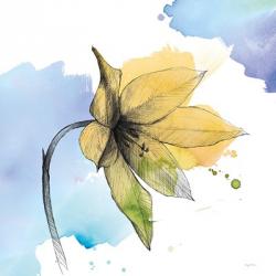 Watercolor Graphite Flower VIII | Obraz na stenu