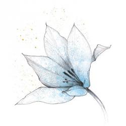 Blue Graphite Flower IX | Obraz na stenu