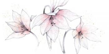 Pink Graphite Floral Trio | Obraz na stenu
