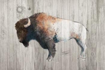 Colorful Bison Dark Brown on Wood | Obraz na stenu