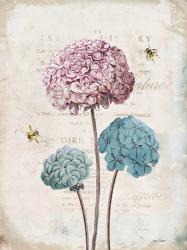 Geranium Study I Pink Flower | Obraz na stenu