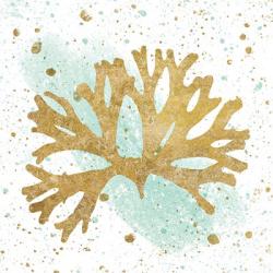 Silver Sea Life Aqua Coral | Obraz na stenu