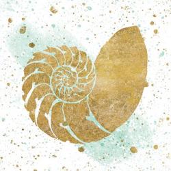Silver Sea Life Aqua Shell | Obraz na stenu