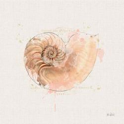 Shell Collector II | Obraz na stenu