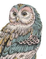 Beautiful Owls I Pastel | Obraz na stenu