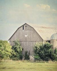 Late Summer Barn II Crop | Obraz na stenu