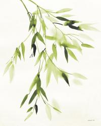 Bamboo Leaves IV Green | Obraz na stenu