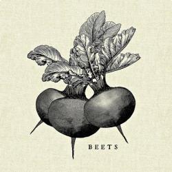 Linen Vegetable BW Sketch Beets | Obraz na stenu