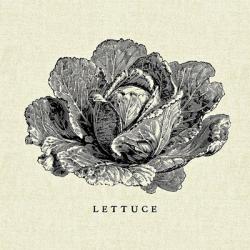 Linen Vegetable BW Sketch Lettuce | Obraz na stenu