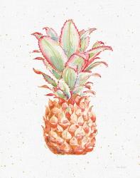 Gracefully Blush Pineapple XI | Obraz na stenu