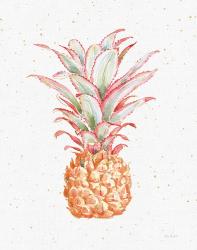 Gracefully Blush Pineapple XII | Obraz na stenu