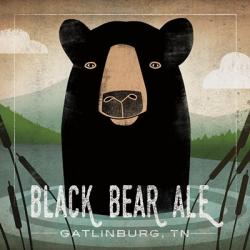 Skinny Dip Black Bear Ale | Obraz na stenu