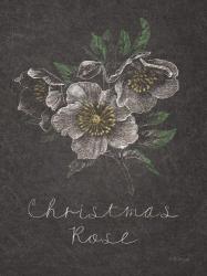 Chalkboard Christmas Greenery III | Obraz na stenu