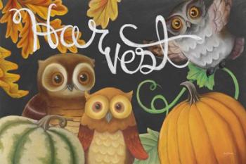 Harvest Owl IV | Obraz na stenu