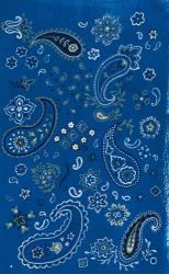 Farm Nostalgia Blue Paisley | Obraz na stenu