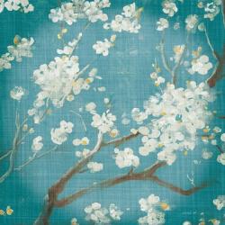 White Cherry Blossoms I on Teal Aged no Bird | Obraz na stenu