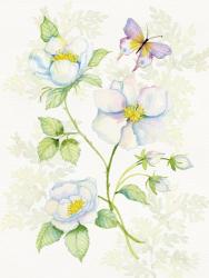 Floral Delight V Butterflies | Obraz na stenu