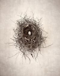 Nest I | Obraz na stenu