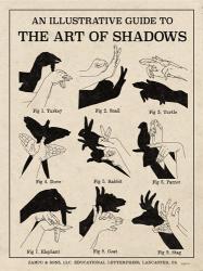 The Art of Shadows X | Obraz na stenu