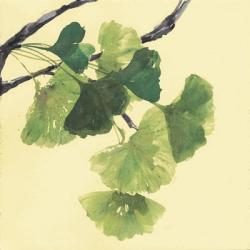 Gingko Leaves I Dark | Obraz na stenu