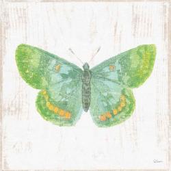 White Barn Butterflies II | Obraz na stenu