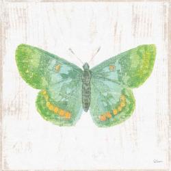 White Barn Butterflies II | Obraz na stenu
