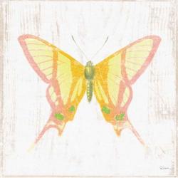 White Barn Butterflies IV | Obraz na stenu