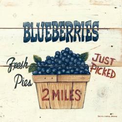 Blueberries Just Picked | Obraz na stenu