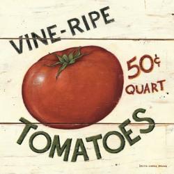 Vine Ripe Tomatoes | Obraz na stenu