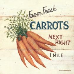 Farm Fresh Carrots | Obraz na stenu