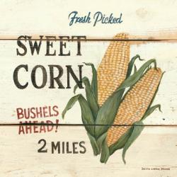 Fresh Picked Sweet Corn | Obraz na stenu