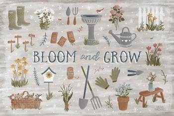 Blooming Garden III | Obraz na stenu