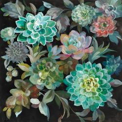 Floral Succulents | Obraz na stenu