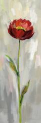 Single Stem Flower II | Obraz na stenu