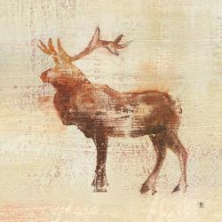 Elk Study | Obraz na stenu